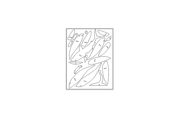 3D 鯊魚(yú)